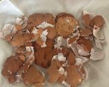 青梅のカリカリ梅作り方5写真