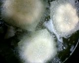 美味しい♪小麦卵不使用のヘルシードーナツ作り方4写真