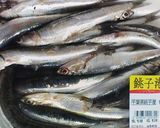 いわしのごま漬けハニー流作り方1写真