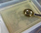 いわしのごま漬けハニー流作り方5写真