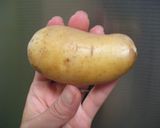 レンジ＆オーブンでポテトチップス作り方1写真