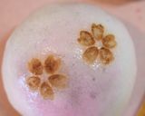 薯蕷饅頭（上用饅頭）作り方18写真