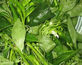 葉とうがらしの佃煮作り方1写真
