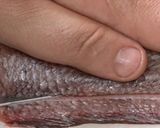 イヌノシタのムニエル【食遺産】作り方1写真