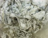 ハゼの南蛮漬け　ニンニク風味作り方7写真
