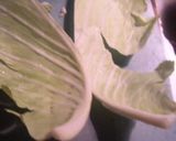 おうちでもつ鍋作り方2写真