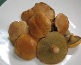 アミタケの中華風和え物作り方5写真