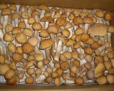 しょうげんじ茸のマリネ作り方1写真