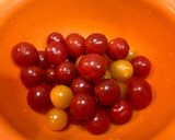 フードドライヤーでドライ塩プチトマト作り方2写真