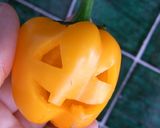 ハロウィン☆パプリカジャコランタン作り方3写真