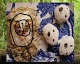 大人のキャラ弁…<コダマ>作り方14写真