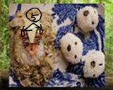 大人のキャラ弁…<コダマ>作り方18写真