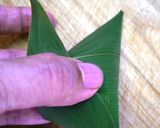 栗入り中華ちまき（細長円錐タイプ）作り方10写真