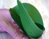 栗入り中華ちまき（細長円錐タイプ）作り方7写真