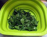 大人の味☆茶粥の友!ピーマンの葉の佃煮作り方1写真