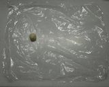 手が汚れない♪楽チン手作り餃子の皮作り方4写真