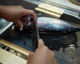 魚を捌こう!ヒラソウダ(カツオ)編作り方6写真
