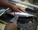 魚を捌こう!ヒラソウダ(カツオ)編作り方7写真