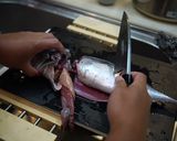 魚を捌こう!ヒラソウダ(カツオ)編作り方9写真