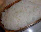 カラフル＆食べてビックリ！五層のり弁作り方11写真