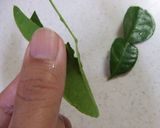 フライパンで２０分　タイのグリーンカレー作り方2写真