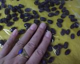 パンプキンパン♪～（メッシュ）作り方7写真