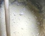 れんこんべんとう作り方27写真