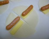 スナック春巻き☆チーズ&ウインナ作り方1写真