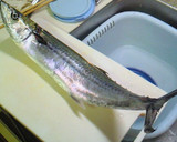 さごしのあら煮☆捌き方つき作り方1写真