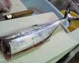 さごしのあら煮☆捌き方つき作り方2写真