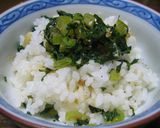 ☆大根の葉の漬物☆父が喜ぶごはんの友～作り方6写真