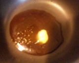 生姜みぞれだしdeもち豚の生姜焼き丼作り方2写真