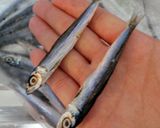 うるめいわしの干物で炊き込みご飯作り方1写真
