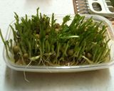 ポンズで激ウマ！！豚バラと野菜蒸し作り方5写真