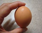 半熟煮たまご（卵のゆで方裏ワザ付）作り方2写真