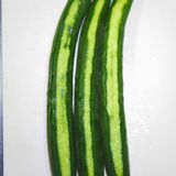 きゅうり大量消費！きゅうりの梅しそ和え作り方2写真