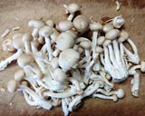 オクラと しめじ カニカマの ワサビ ポン酢和え作り方1写真