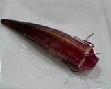 山形のだし　夏野菜たっぷり作り方8写真