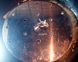 小カワハギの煎り煮作り方5写真