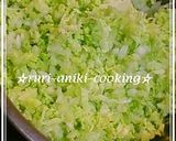 小籠包風ジューシー白菜餃子作り方1写真