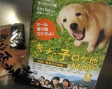 きなこシフォンケーキ作り方24写真