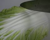 芋煮（白菜たっぷり）作り方16写真