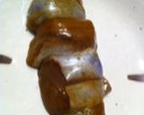 烏賊わたの味噌漬け作り方8写真