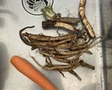 アメリカオニアザミのきんぴら作り方1写真