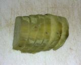 チーズのさつま芋はさみ・韓国海苔巻き作り方1写真