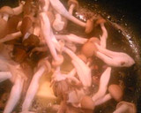 とってもやわらか【きのこ和風ハンバーグ】作り方5写真