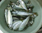 釣り人が作るママカリ(サッパ)の酢漬け作り方1写真