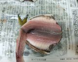 釣り人が作るママカリ(サッパ)の酢漬け作り方3写真