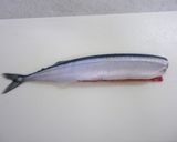 ８８円で節約お刺身＾＾秋刀魚カルパッチョ作り方3写真