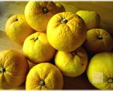 身体を癒す薬膳のすすめ・柚子味噌作り方11写真